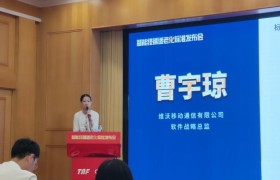 亮相智能终端适老化标准发布会 vivo“五大招“赋能老年用户群