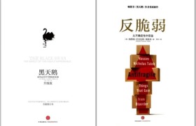 深度解读丨用“反脆弱”对抗“黑天鹅”，一文看懂疫情突围指南