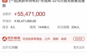 流拍！贾跃亭所持”乐视网”股权拍卖无人报名