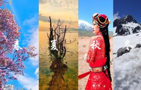 vivo S6视频太给力，超级防抖助你“身临其境”