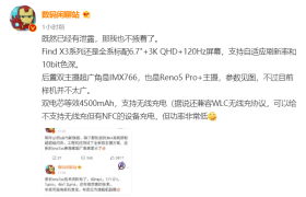 OPPO Find X3 部分参数曝光：QHD+ 屏幕 + 后置双主摄