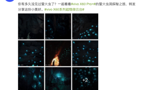 搭载超稳微云台 看vivo X60 Pro+“点亮”萤火虫洞