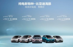 为海洋车系打样，9.68-12.48万元，比亚迪海豚开启预售