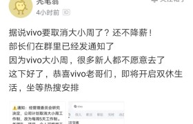 vivo将取消大小周？脉脉用户：手机圈反内卷第一厂