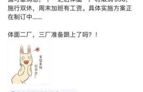 脉脉网友传海康威视将在十一后取消996，“体面一厂”要体面吗？